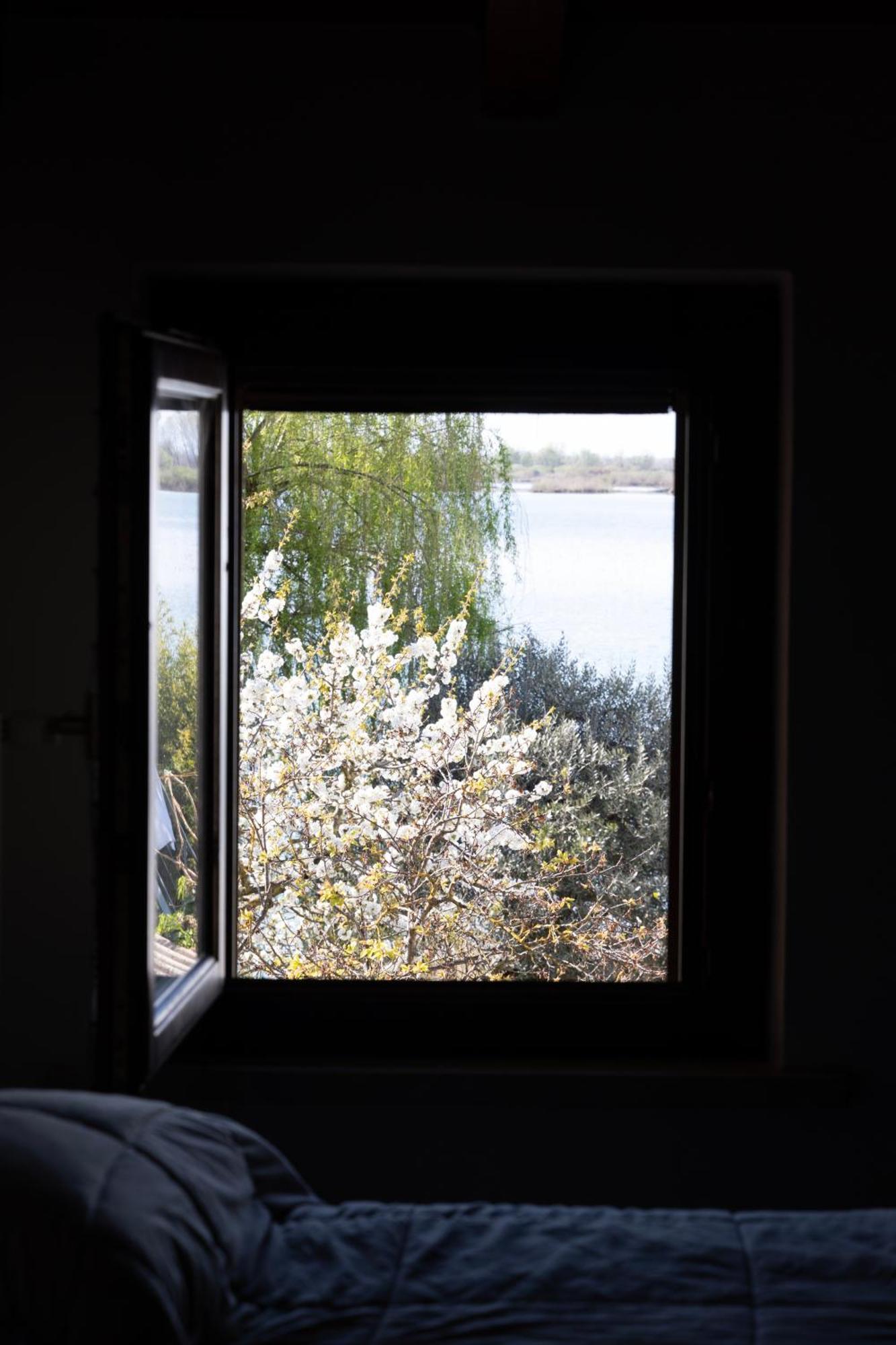 B&B Casanonni Borgo Angeli Mantova Exterior photo